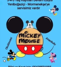 Mickey Mouse Anaokul Ve Etüt Merkezi