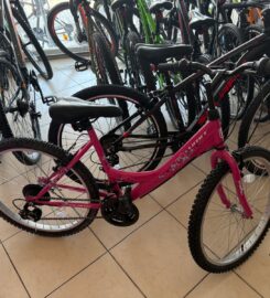 Talihsiz Motosiklet & Bisiklet